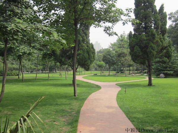 百慕大种子(图3) 百慕大种子(图3)