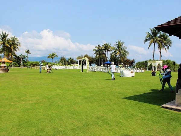 百慕大种子(图4) 百慕大种子(图4)